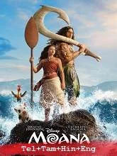 Moana (2026) BRRip Telugu Dubbed